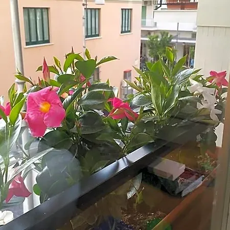 Verù